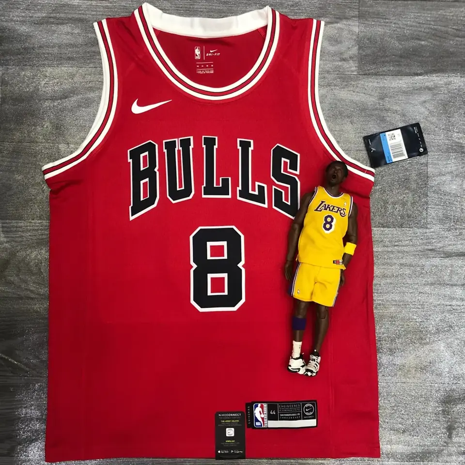 Bulls cuello redondo rojo nº 8 Zach LaVine