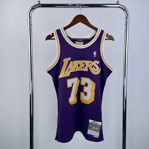 Camiseta retro MN de termopresión: SW de los Lakers, temporada 98/99, cuello redondo, morada, nº 73 Rodman