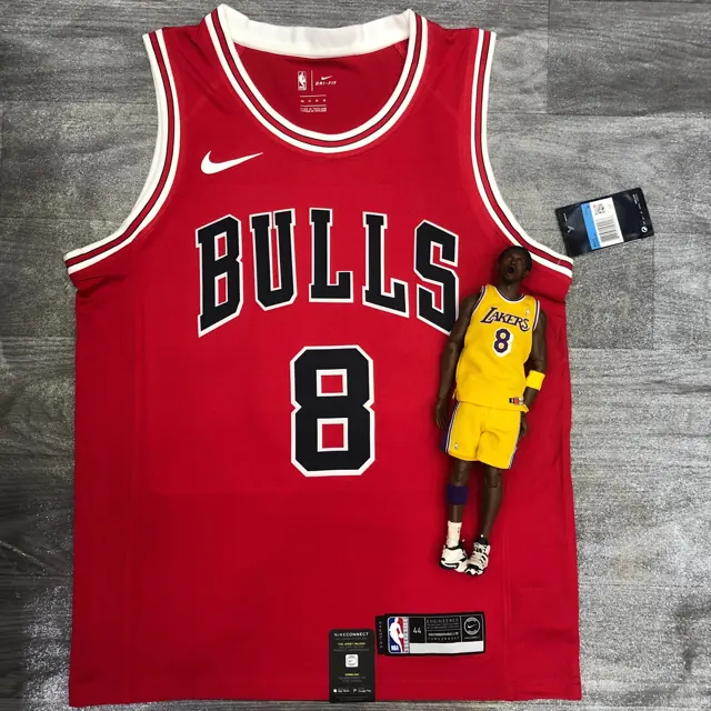 Bulls cuello redondo rojo nº 8 Zach LaVine