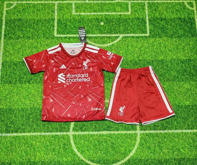 2627 Liverpool local infantil