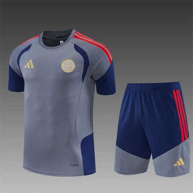 Camiseta de manga corta 26/27 Bayern Múnich gris oscuro
