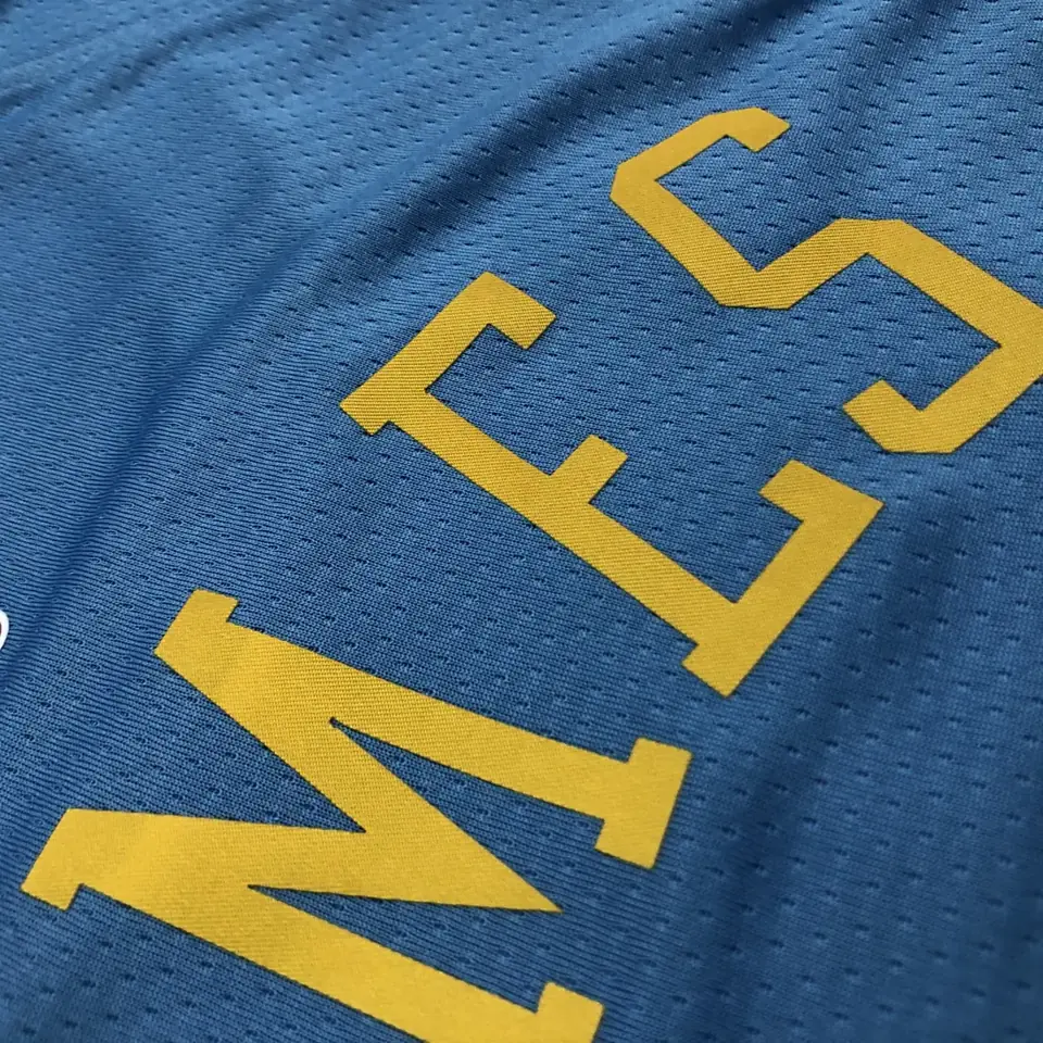 Foto 4 de Lakers Minneapolis n.º 6 LeBron James