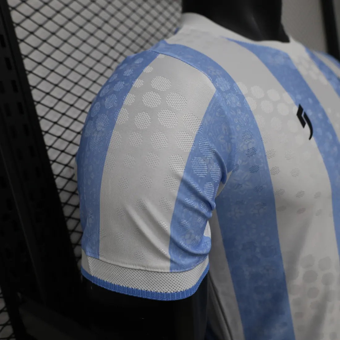 Foto 6 de 26. S-3XL Jugador Argentina edición especial