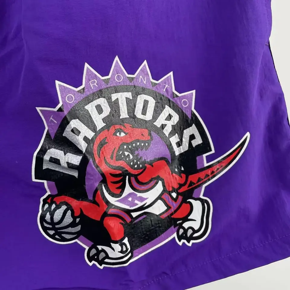Foto 4 de Mitchell & Ness pantalones cortos retro: Raptors