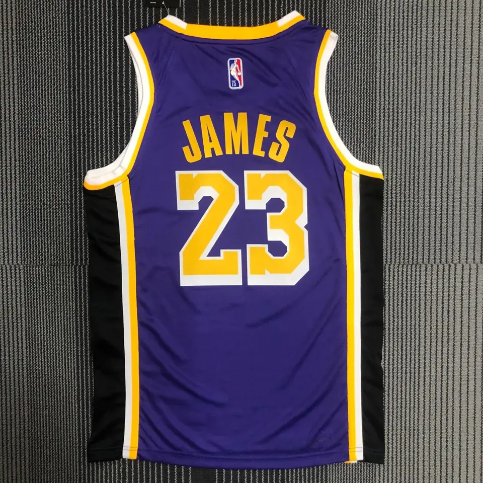 Foto 5 de 75 aniversario Lakers Edición Jumpman número 23 James