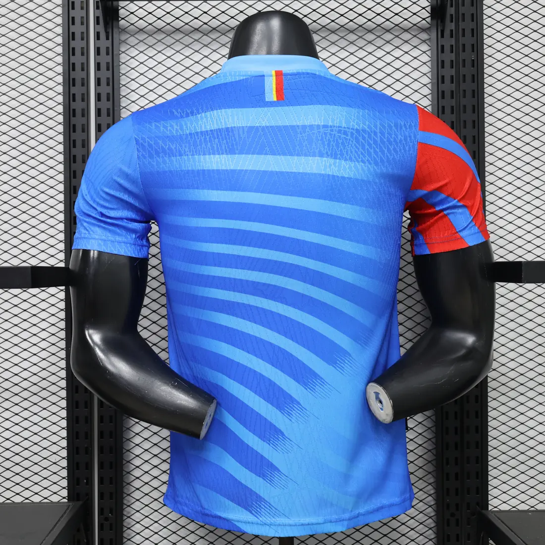 Foto 3 de Versión jugador 26 Congo azul