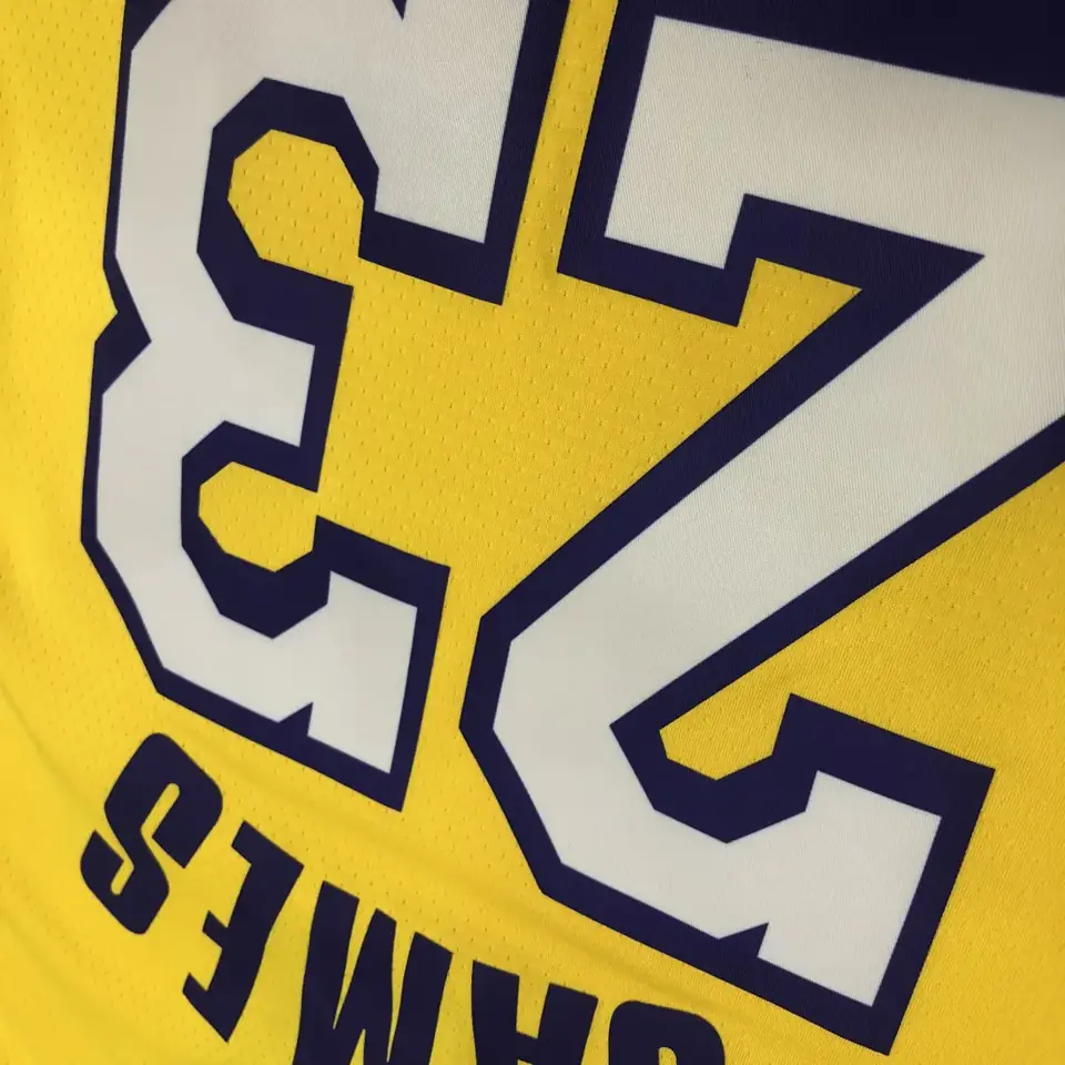 Foto 2 de Los Angeles Lakers con estrellas nº 23 James