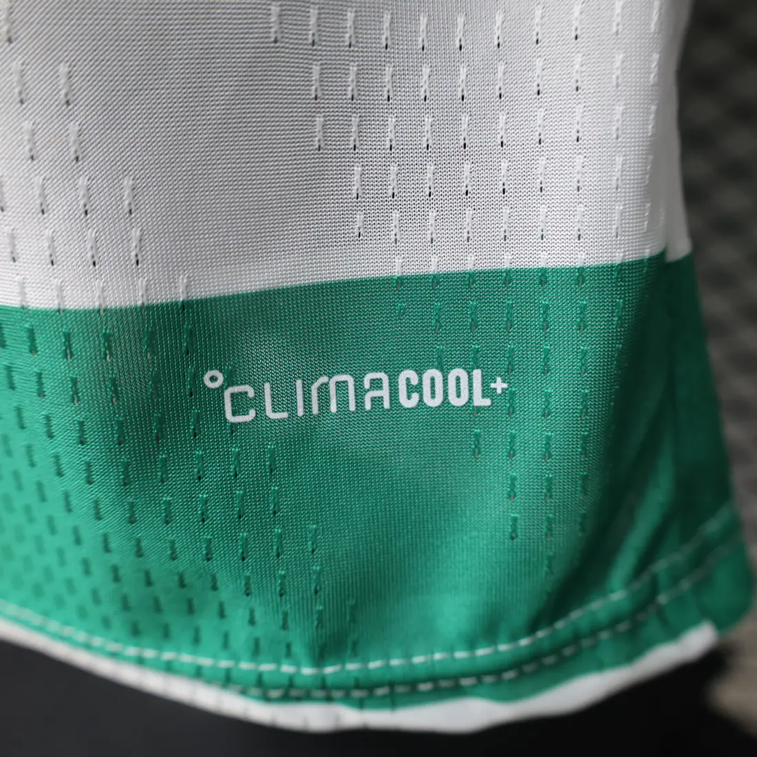Foto 3 de Versión jugador 26/27 Celtic local S-2XL