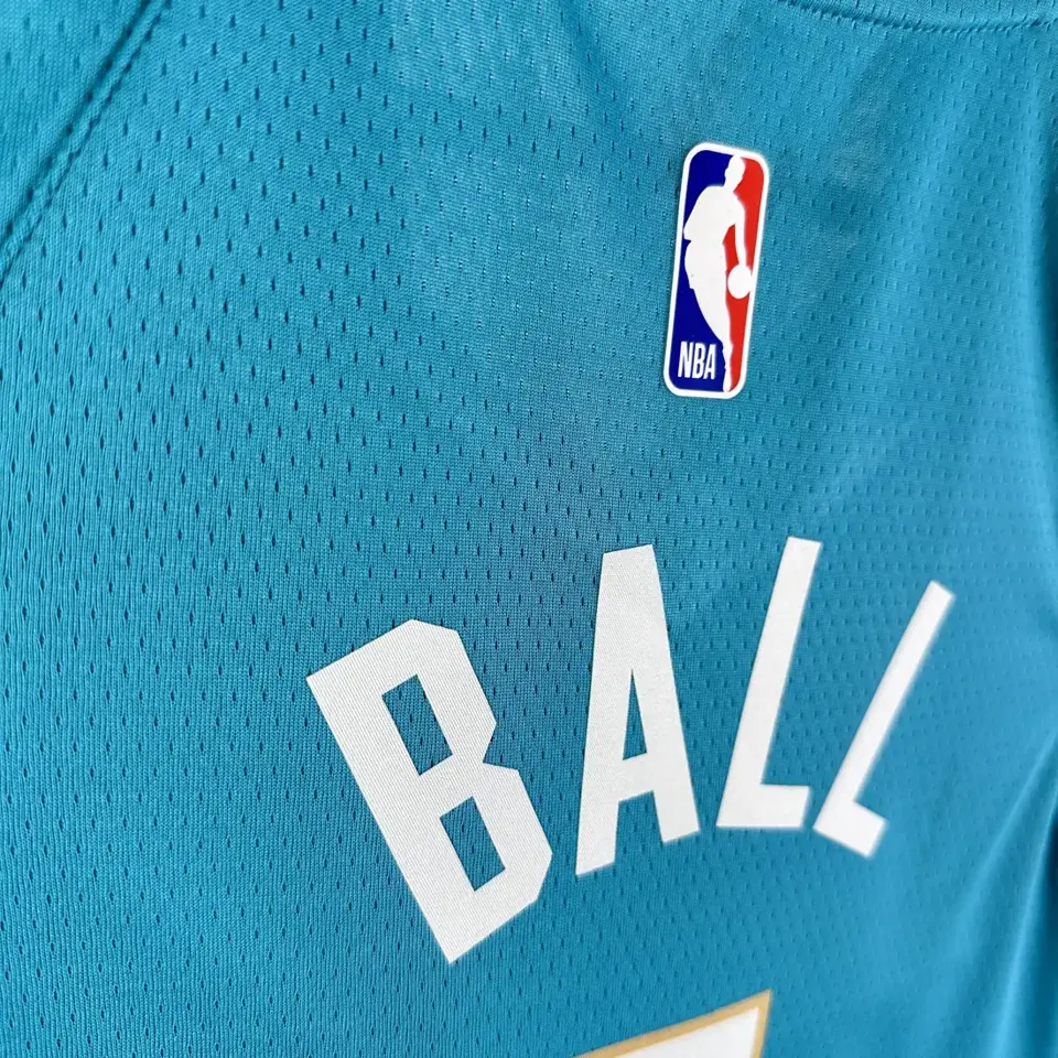 Foto 4 de Temporada 24 Hornets Edición Ciudad n.º 1 Ball