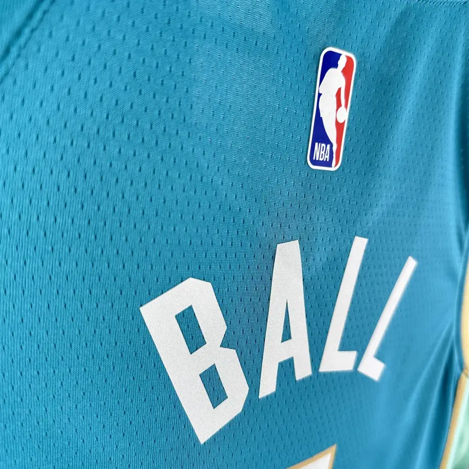 Foto 5 de Temporada 24 Hornets Edición Ciudad n.º 1 Ball