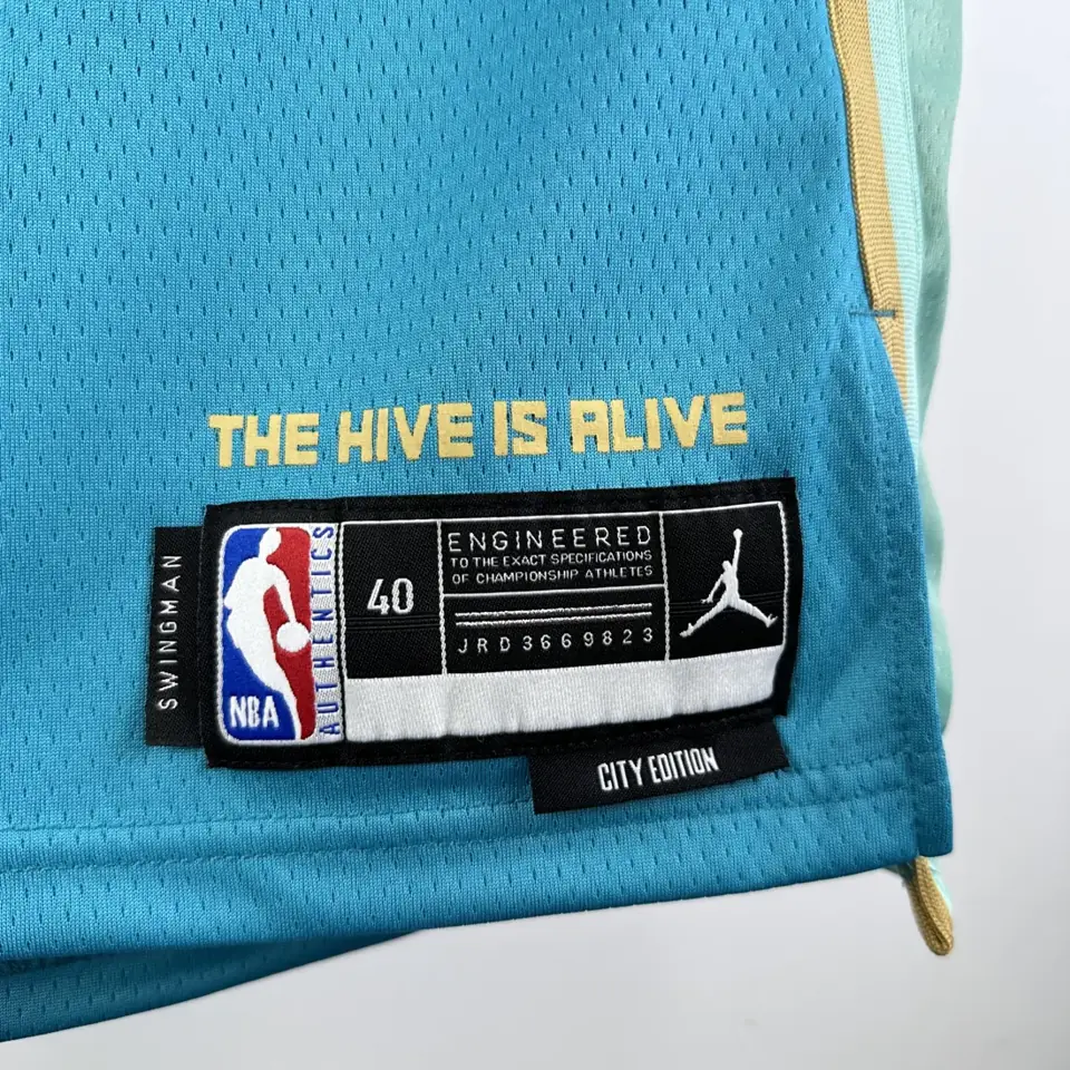 Foto 8 de Temporada 24 Hornets Edición Ciudad n.º 1 Ball