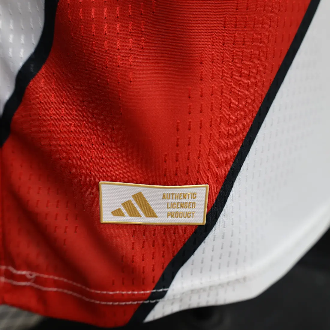 Foto 6 de Versión jugador 26/27 River Plate local S-2XL