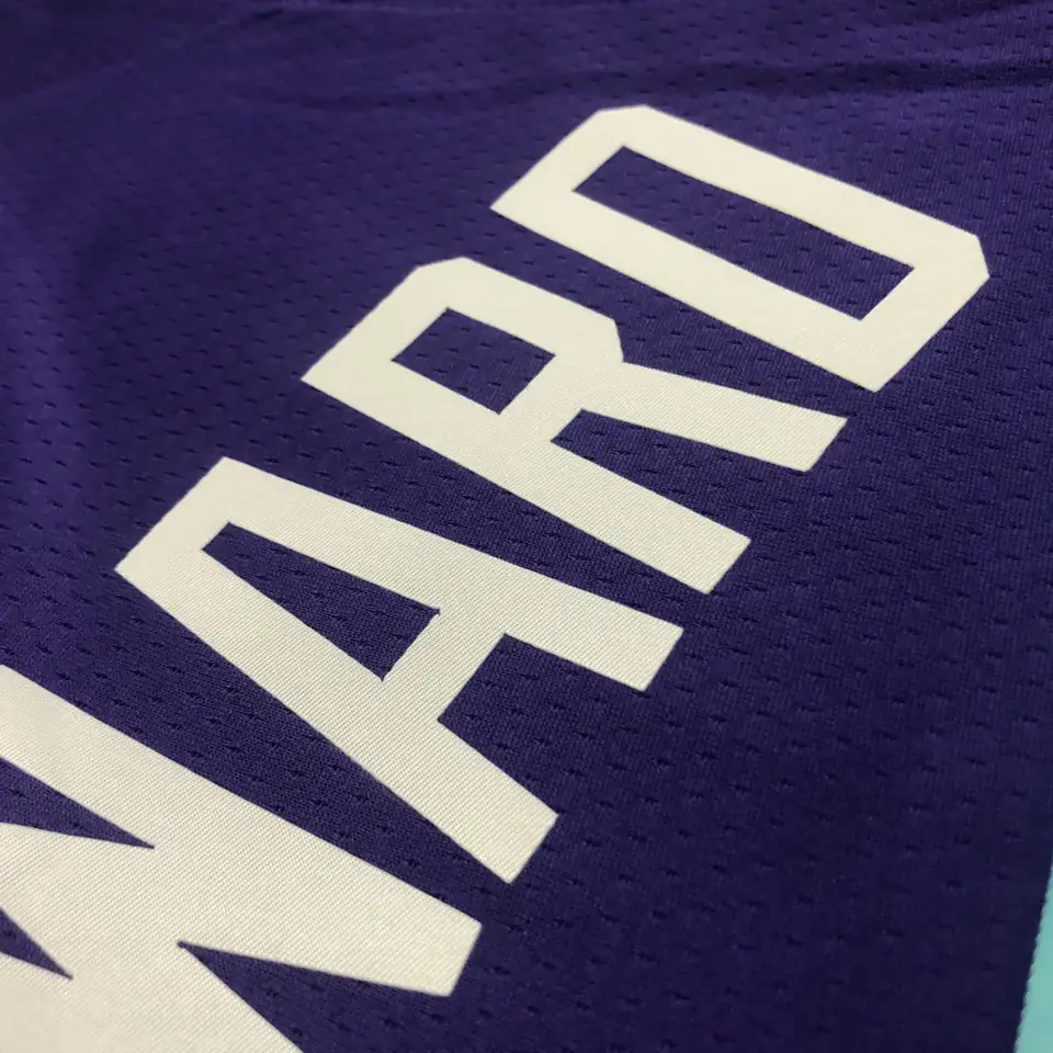 Foto 4 de Hornets morado número 20 Hayward