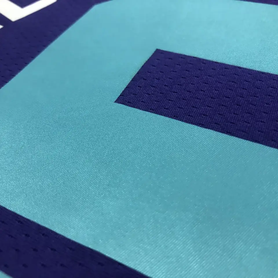 Foto 6 de Hornets morado número 20 Hayward