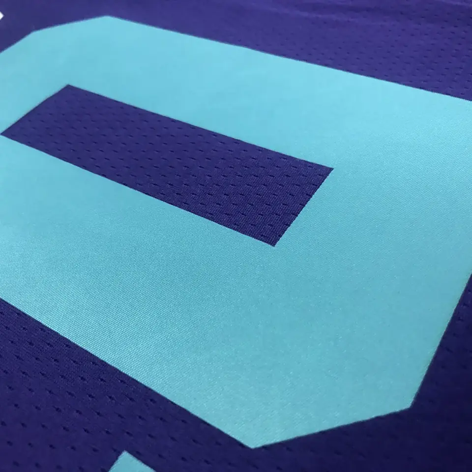 Foto 7 de Hornets morado número 20 Hayward