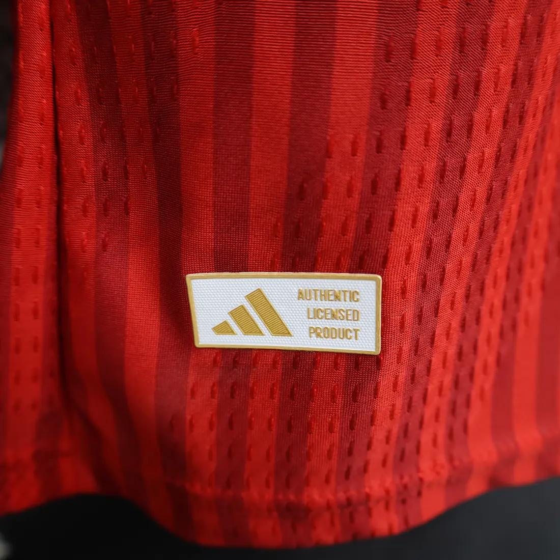 Foto 5 de Versión jugador 26/27 Bayern de Múnich local S-2XL